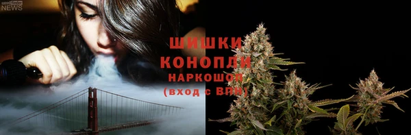 apvp Аркадак