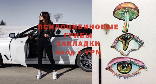 apvp Аркадак