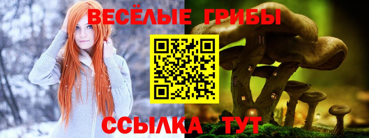 Ставрополь  Псилоцибиновые грибы Psilocybine cubensis  Вход с VPN 