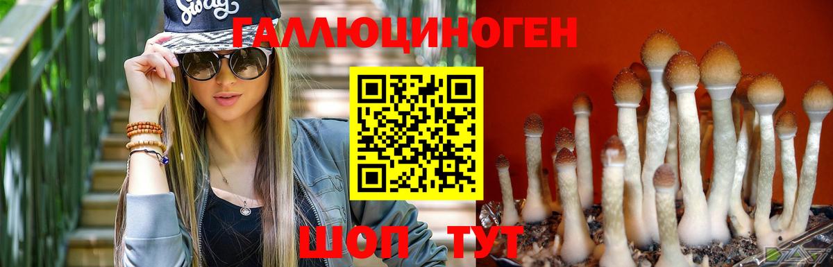 Псилоцибиновые грибы Cubensis Ставрополь